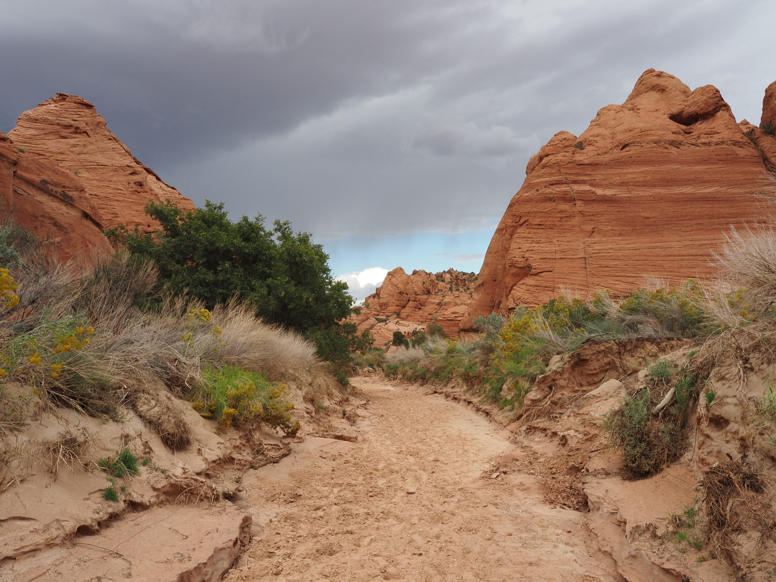 Colorado Plateau – Page