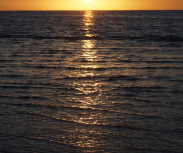AUSTRALIEN – WESTERN AUSTRALIA: Ningaloo Reef bis Monkey Mia