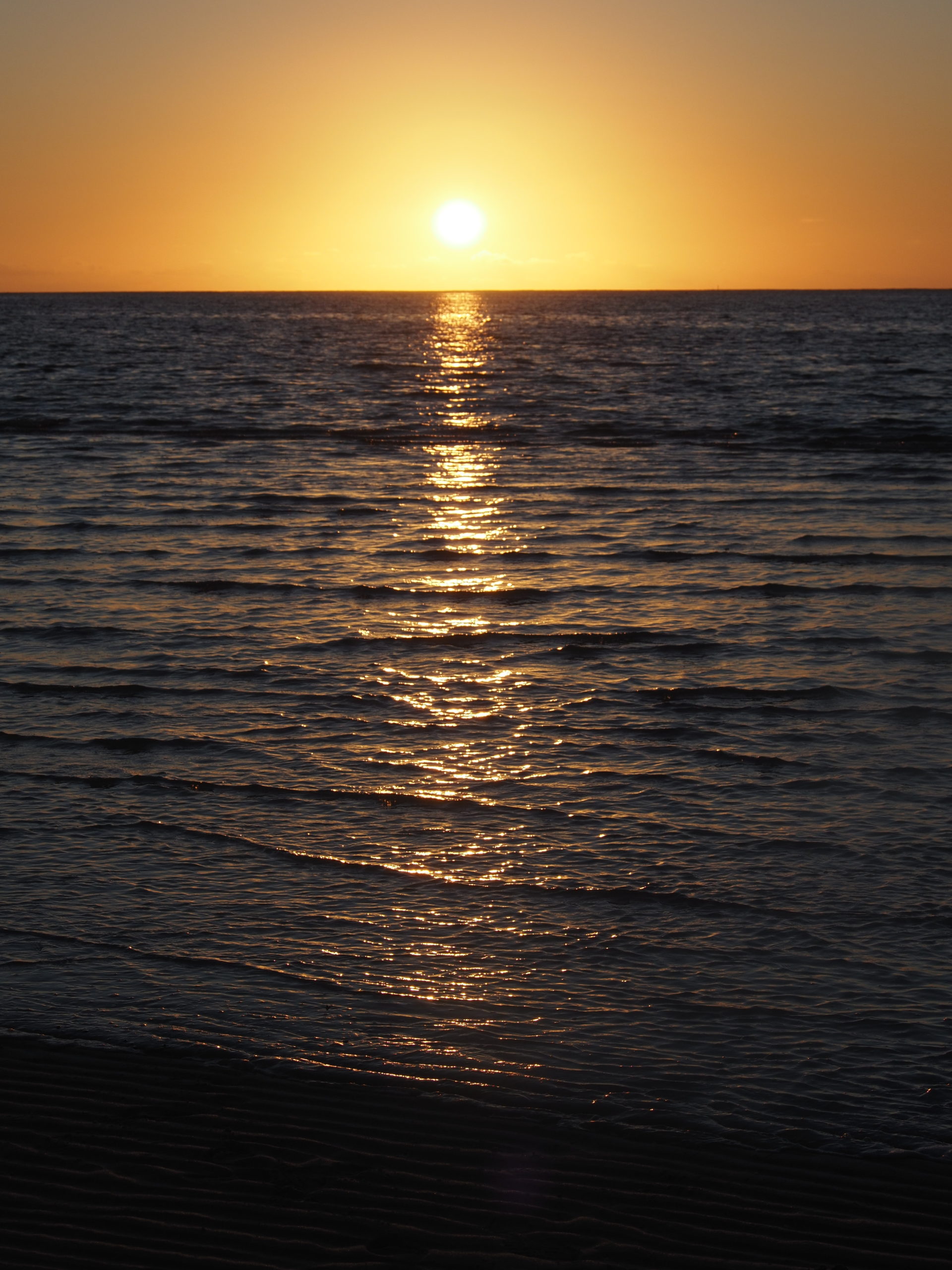 AUSTRALIEN – WESTERN AUSTRALIA: Ningaloo Reef bis Monkey Mia